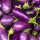 iStock